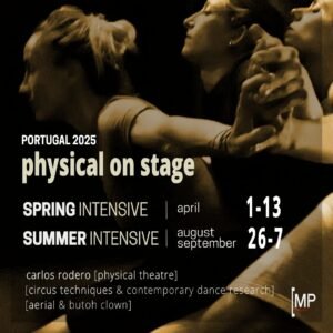 Physical on Stage International Workshop 2025